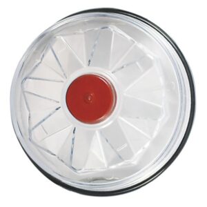 Fruehauf Propar plastic hub cap with window face
